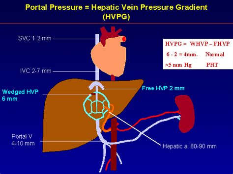 hpvg messung